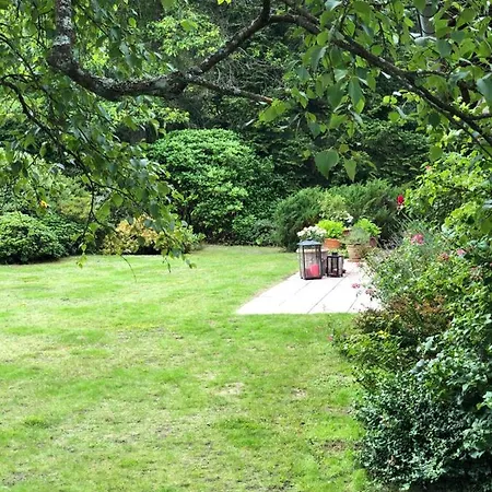 Mitten In Der Lueneburger Heide