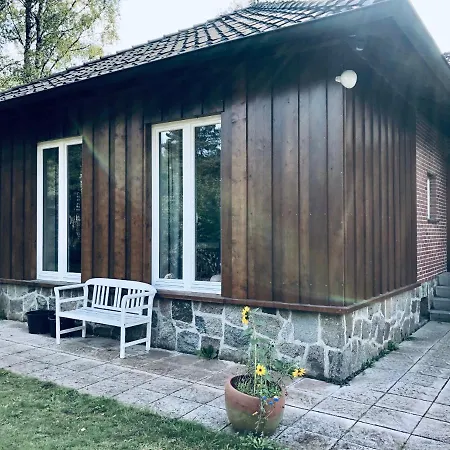 Mitten In Der Lueneburger Heide *