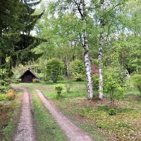 Mitten In Der Lueneburger Heide * Ундело