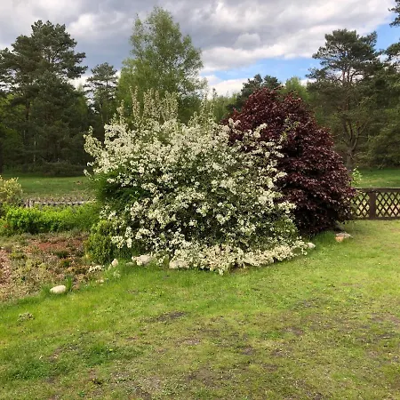 Дом отдыха Mitten In Der Lueneburger Heide Ундело