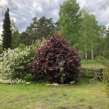 بيت للعطل Mitten In Der Lueneburger Heide أونديلوه