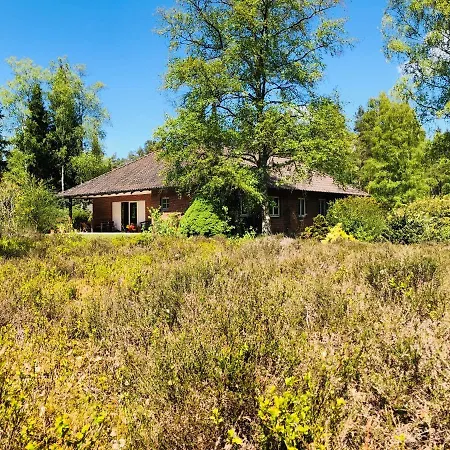 Mitten In Der Lueneburger Heide * Ундело