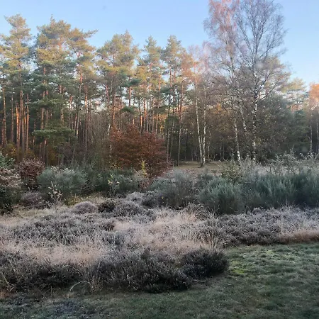 Mitten In Der Lueneburger Heide Дом отдыха Ундело
