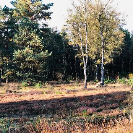 Дом отдыха Mitten In Der Lueneburger Heide