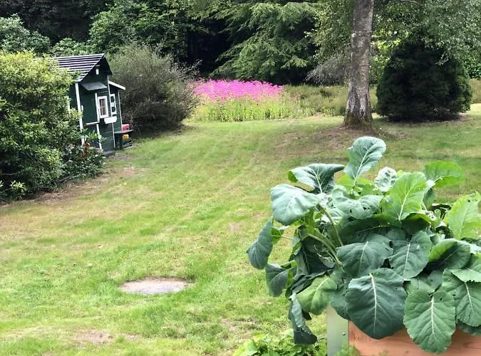 Mitten In Der Lueneburger Heide בית נופש *