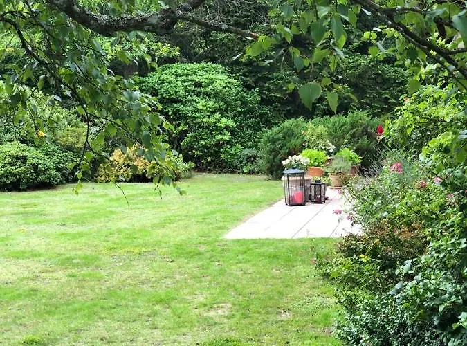 Mitten In Der Lueneburger Heide