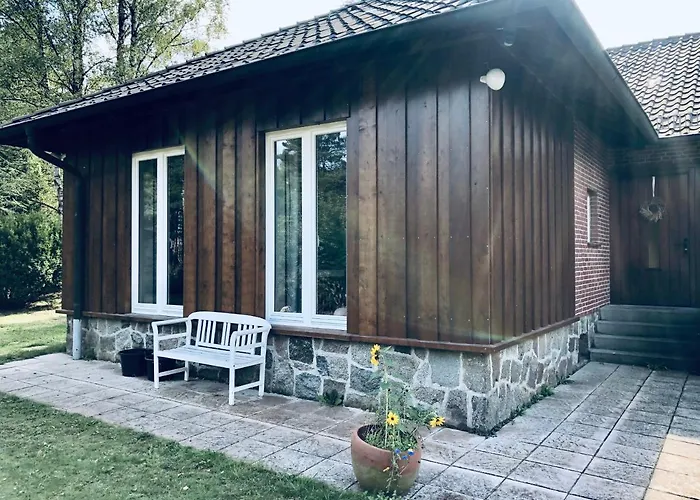 Mitten In Der Lueneburger Heide *