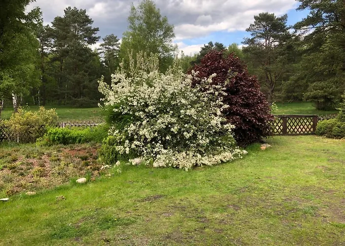 בית נופש Mitten In Der Lueneburger Heide אונדלו