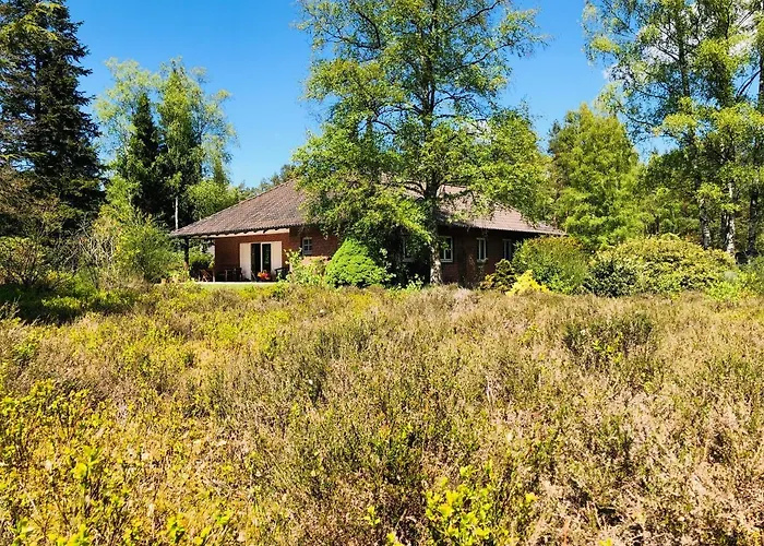 Mitten In Der Lueneburger Heide * אונדלו