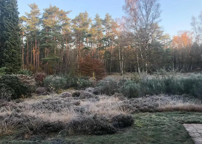 Mitten In Der Lueneburger Heide בית נופש אונדלו