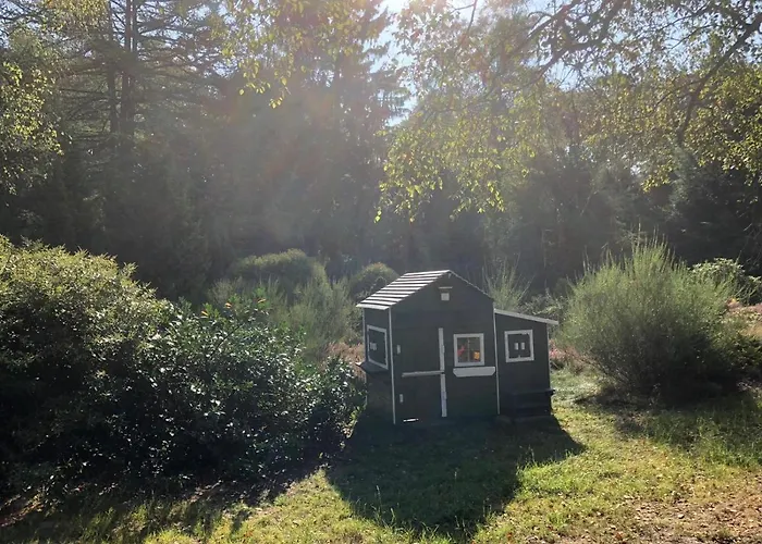 Mitten In Der Lueneburger Heide בית נופש אונדלו