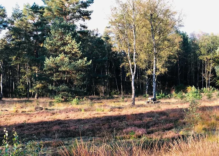 בית נופש Mitten In Der Lueneburger Heide